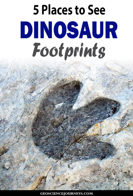 dinosaur_tracks